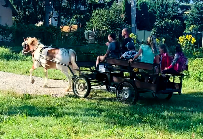 Indigó Taxi